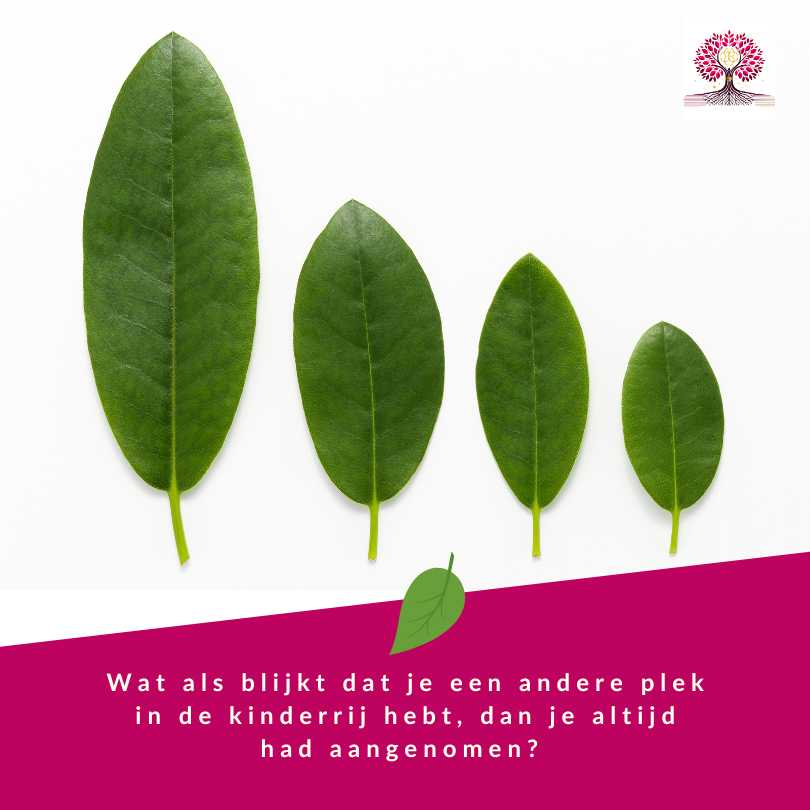 Ben ik het tweede of derde kind?