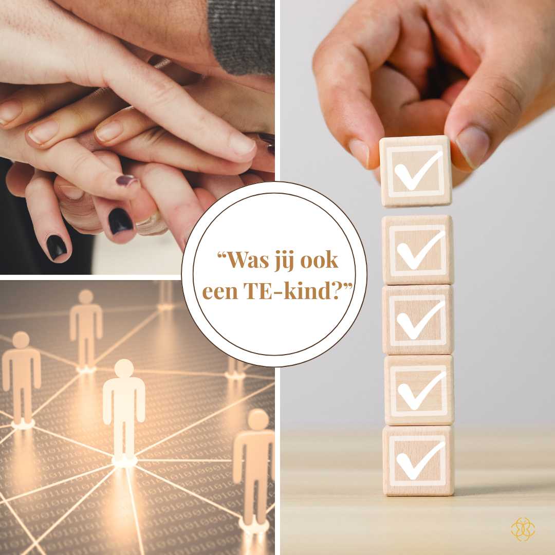 Collage met handen, netwerkfiguren en checklist; tekst: “Was jij ook een TE-kind?” – blog over familieopstelling & grenzen